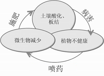 化肥不等于科學(xué)，請(qǐng)客觀評(píng)判！